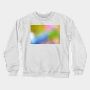 A Splash of Color II Crewneck Sweatshirt